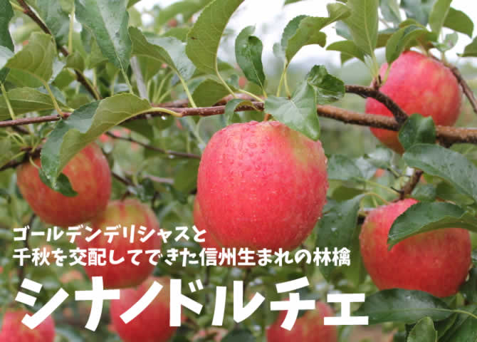原りんご園のシナノドルチェ