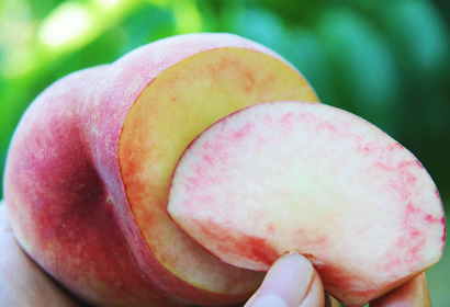 原りんご園の美味しい桃